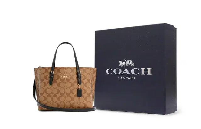 COACH Mollie 25 Logo Tote
