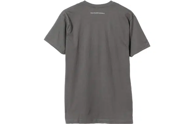 beams T