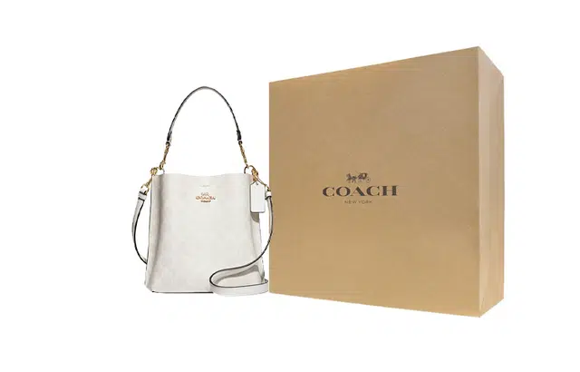 COACH Mollie 22 Chalk White
