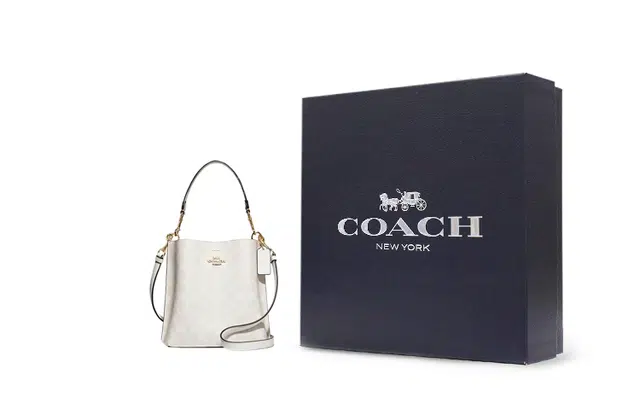 COACH Mollie 22 Chalk White