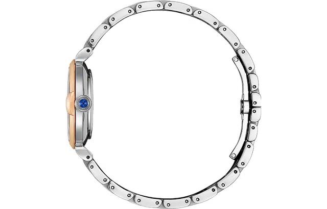 CITIZEN EM1074-82D