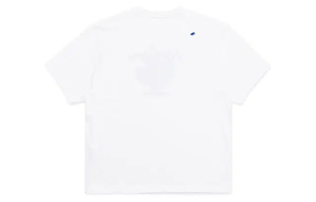 ADER ERROR T