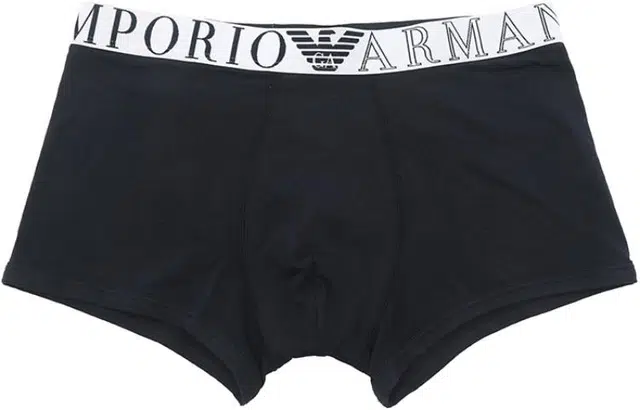 EMPORIO ARMANI Logo 1