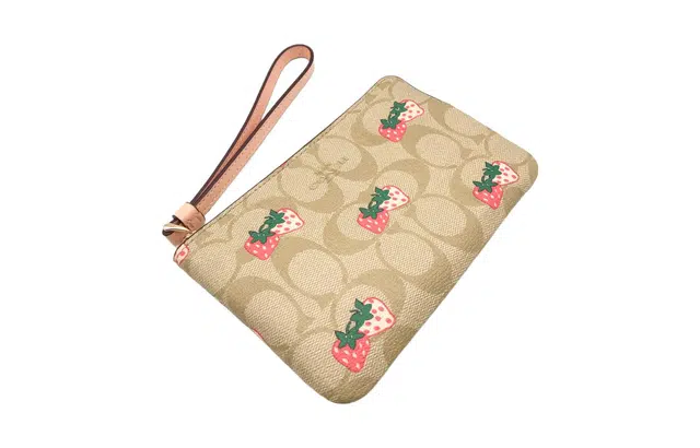 COACH Corner Zip 16