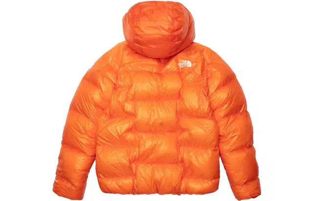 THE NORTH FACE 800