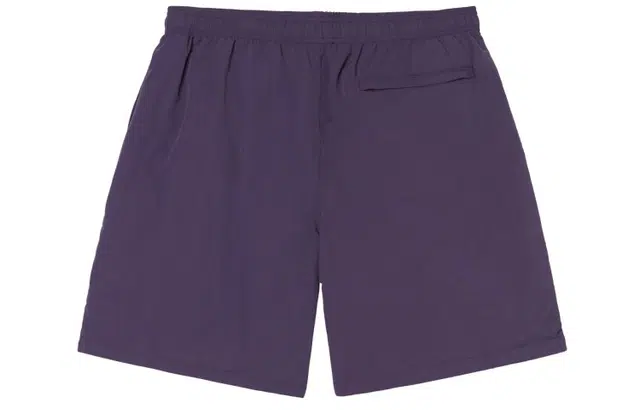 Stussy SS22 Logo Curly S Water Short