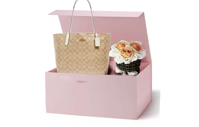 COACH City 33 Tote