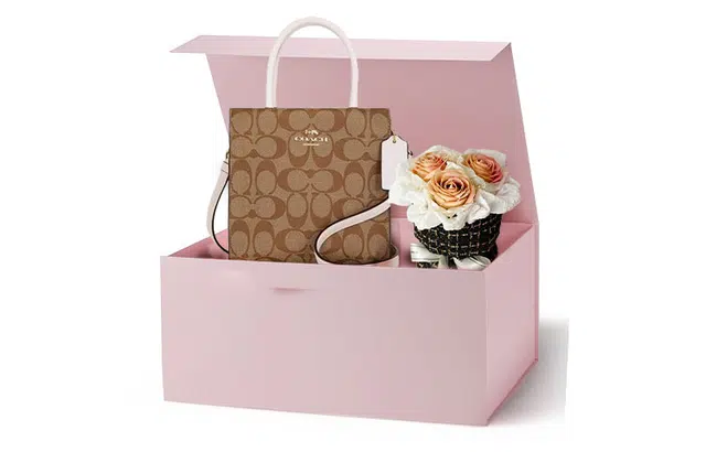 COACH Cally 17 Tote