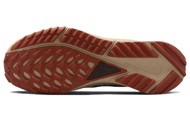 Nike Pegasus Trail 4