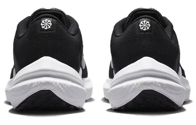 Nike Air Winflo 10