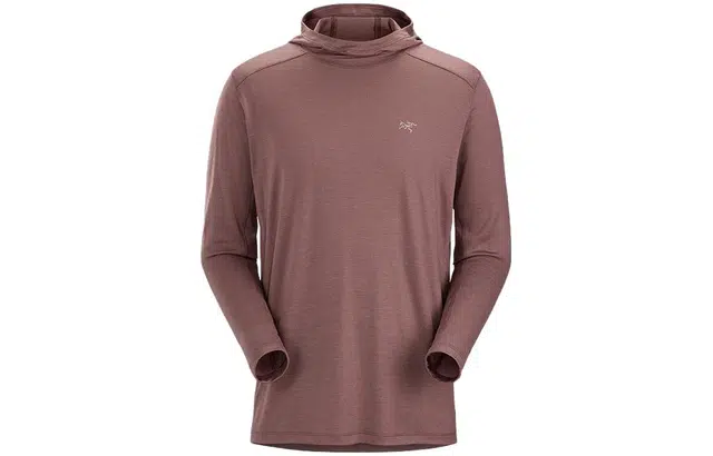 Arcteryx Ionia Merino Wool Hoody M LogoT