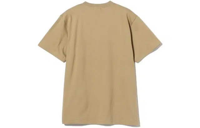 beams T