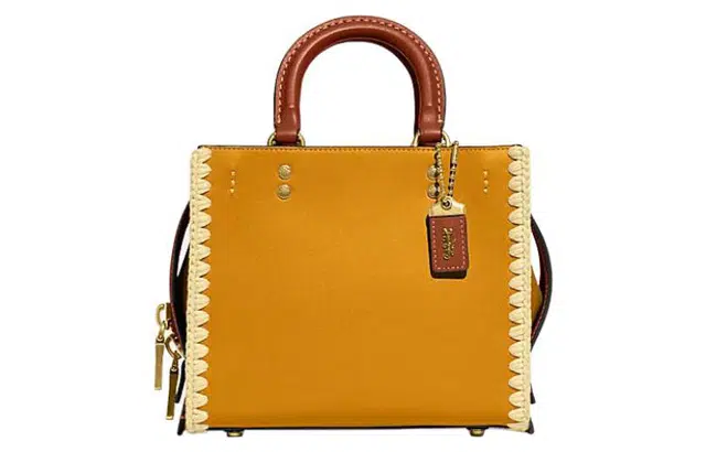 COACH Rogue 20