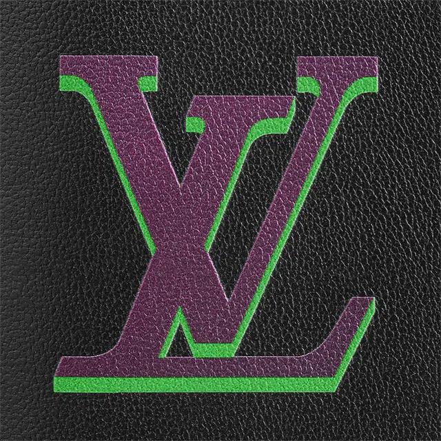 LOUIS VUITTON Pocket Organizer