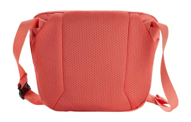 Arcteryx Mantis 2L