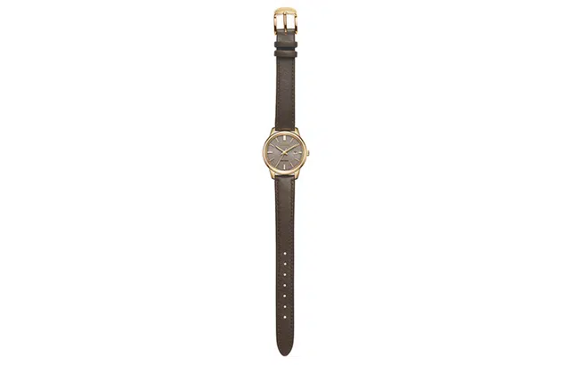 CITIZEN EW2593-10X