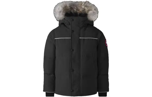 Canada Goose