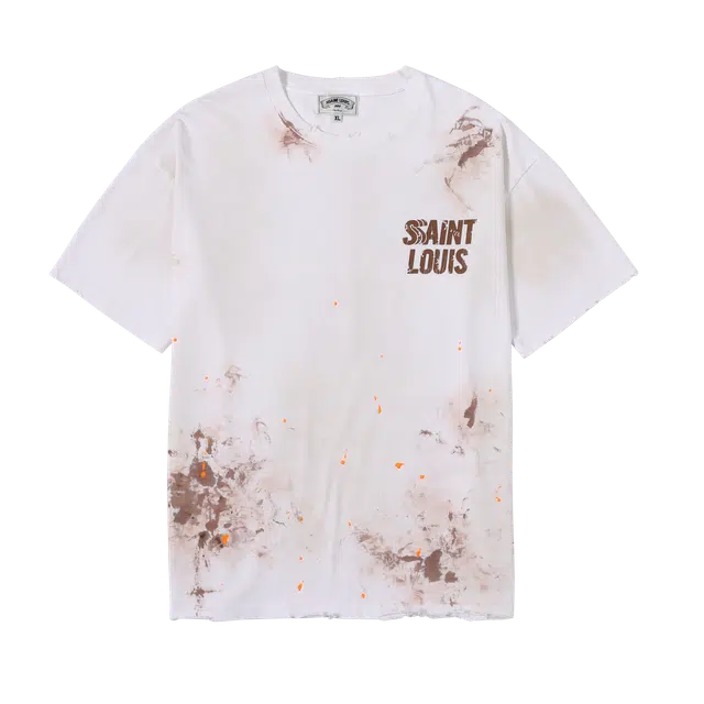 SSSAINT LOUIS T