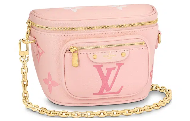 LOUIS VUITTON Bumbag Logo