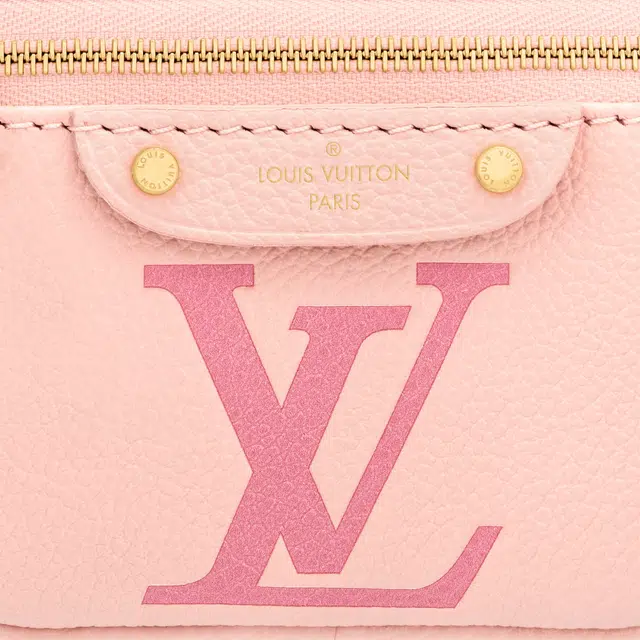 LOUIS VUITTON Bumbag Logo