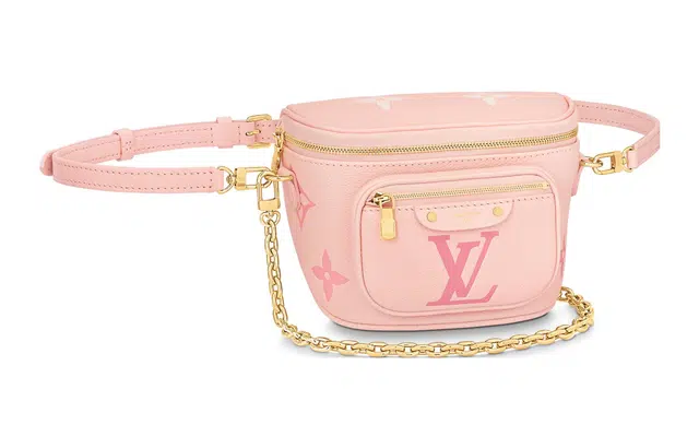 LOUIS VUITTON Bumbag Logo