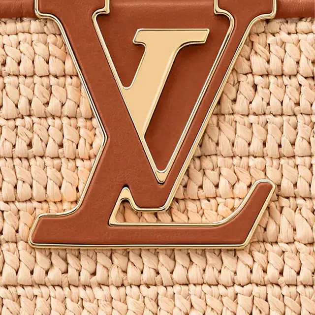 LOUIS VUITTON Summer Capucines