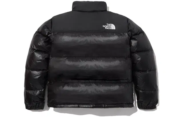 THE NORTH FACE FW23 M's 1996 Eco Nuptse Jacket