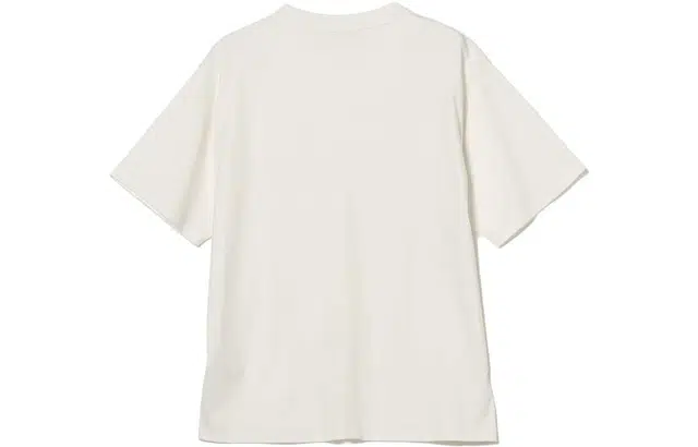 beams T
