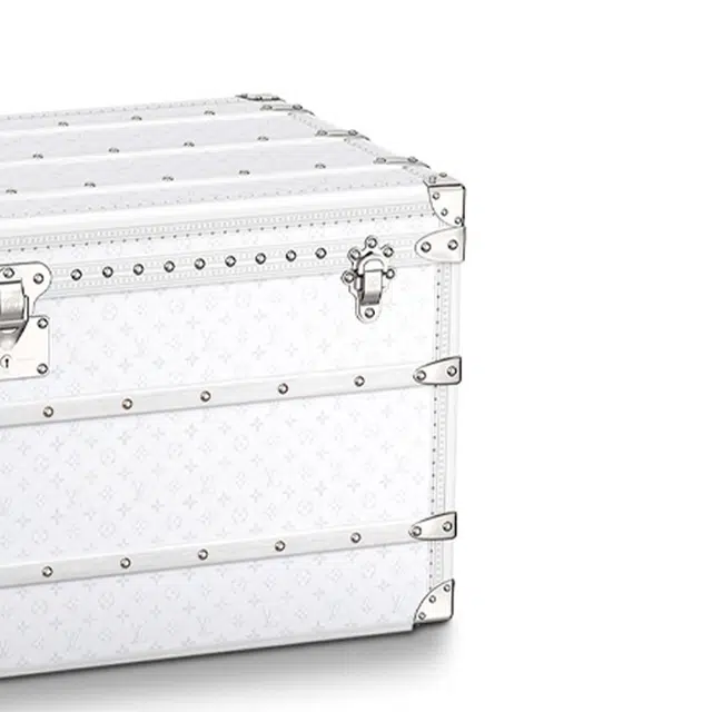 LOUIS VUITTON 110