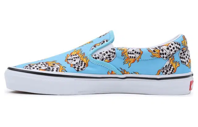 Vans Skate Slip-On