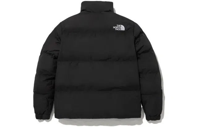THE NORTH FACE Aspen Ex On Ball Jacket Logo