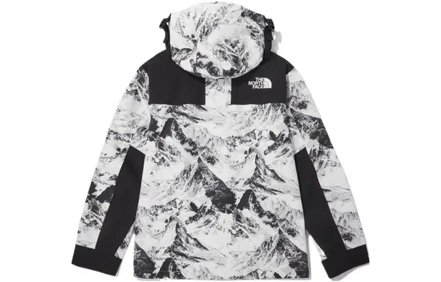 THE NORTH FACE 1990 Gore Tex