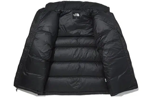 THE NORTH FACE 1992 Nuptse Logo