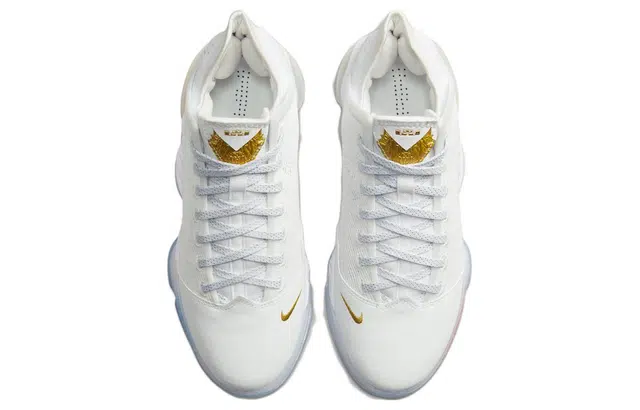 Nike Lebron 19