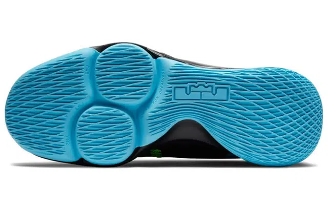 Nike Witness 5 Lebron EP