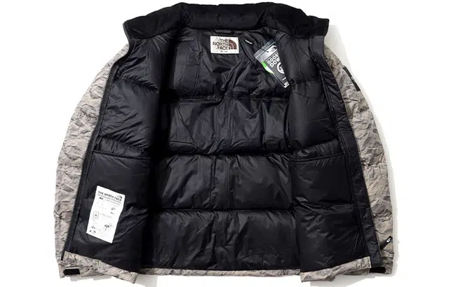 THE NORTH FACE ECO