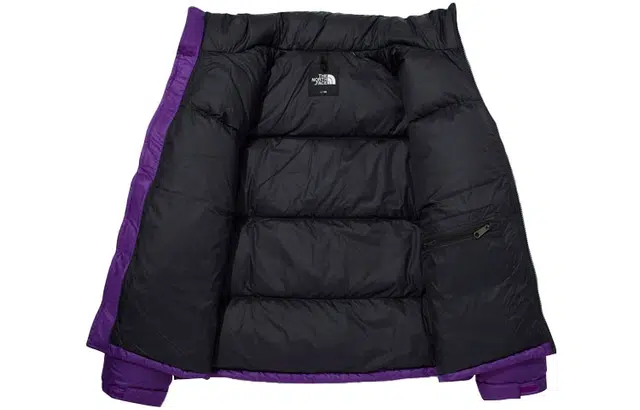 THE NORTH FACE 1996 1996 Eco Nuptse Logo
