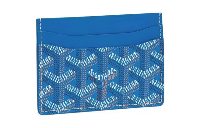 GOYARD Saint Sulpice 11