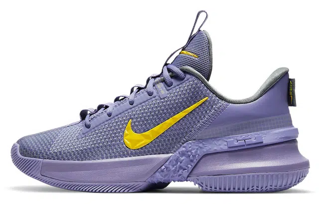 Nike Ambassador 13 LeBron Lakers