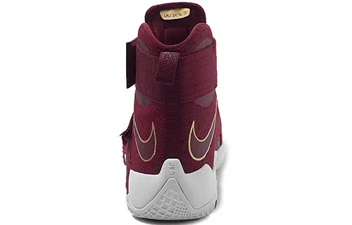 Nike zoom soldier 10 LeBron 10