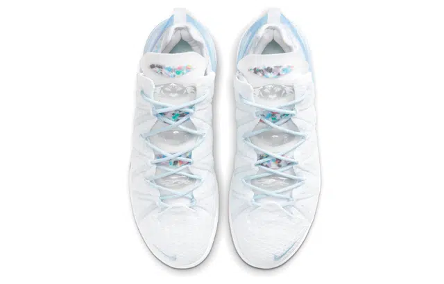 Nike Lebron 18