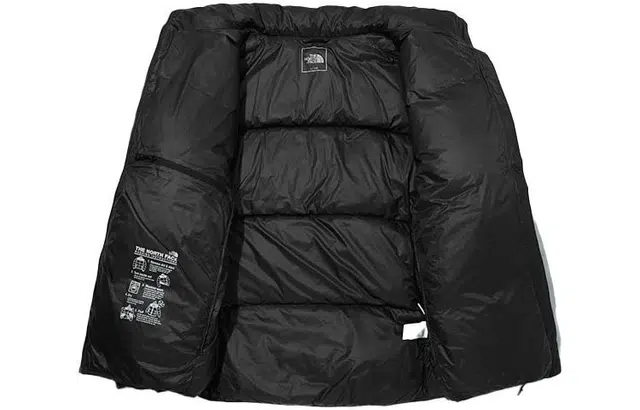 THE NORTH FACE Tech Pack Air Down Logo