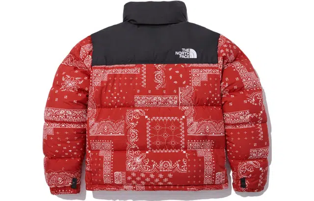 THE NORTH FACE Logo