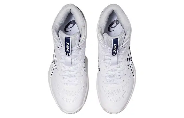 Asics Gel-Hoop V15