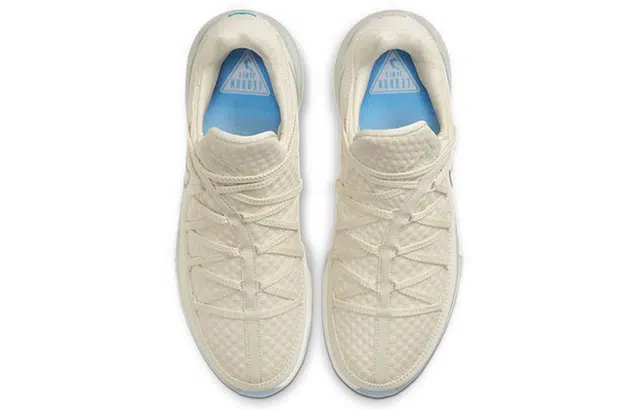 Nike Lebron 17 Low EP 17