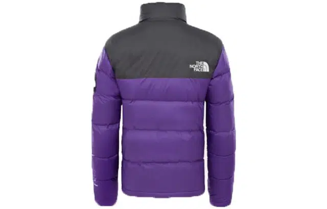 THE NORTH FACE 1992 Nuptse Jacket Tillandsia PrplAsphalt Grey
