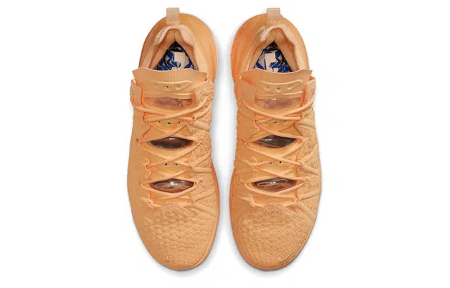 Nike Lebron 18