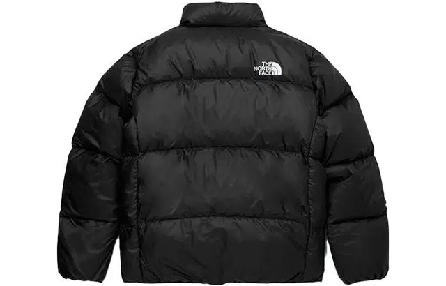 THE NORTH FACE Tech Pack Air Down Logo