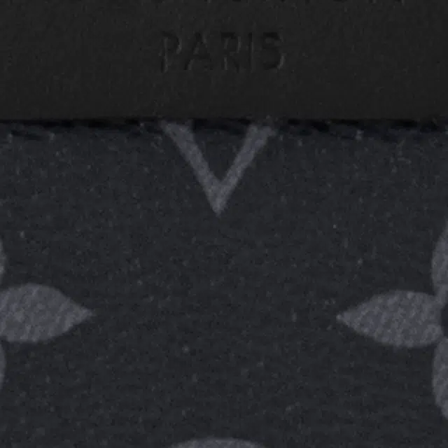 LOUIS VUITTON Discovery Logo