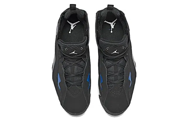 Jordan Air Jordan 7 True Flight